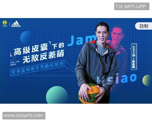 赵伟独家分享篮球心得与技巧助你提升球技的秘密解析